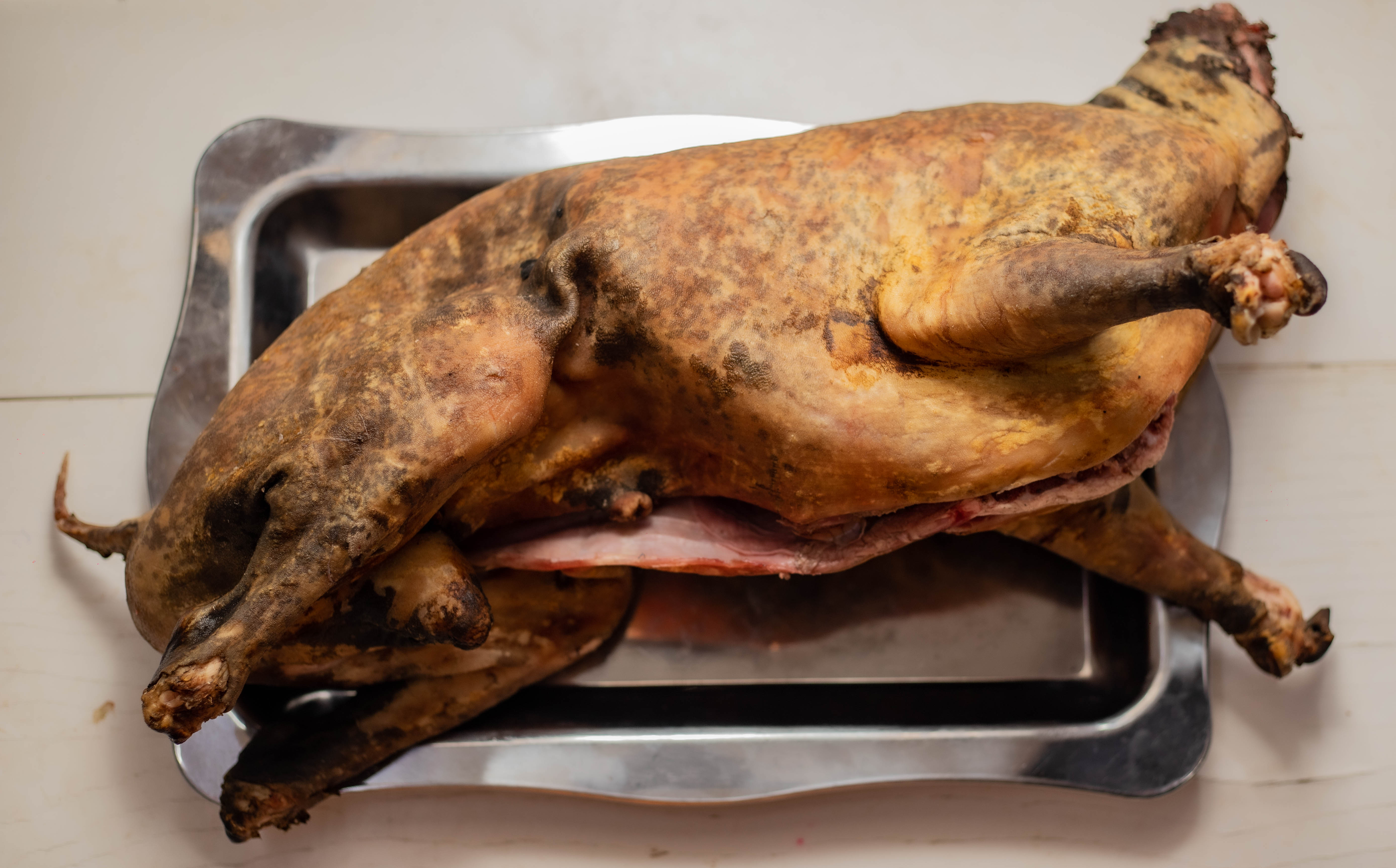 caracace de chevre  avec boyaux à partir de 36000 à 45000 avec boyaux