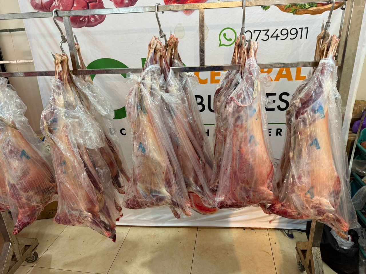 Carcasse de Chèvre  à partir de  [36.000 - 65.000 F]